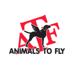 banner-animals-to-fly