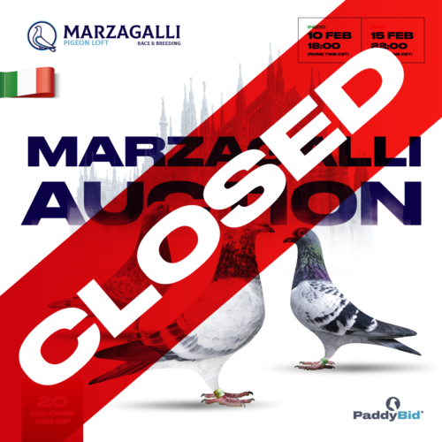 Marzagalli-Aucion-cover-closed