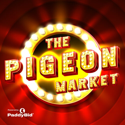 PigeonMarket-POst